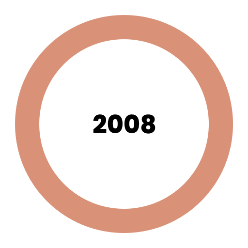 Výsledky roku 2008