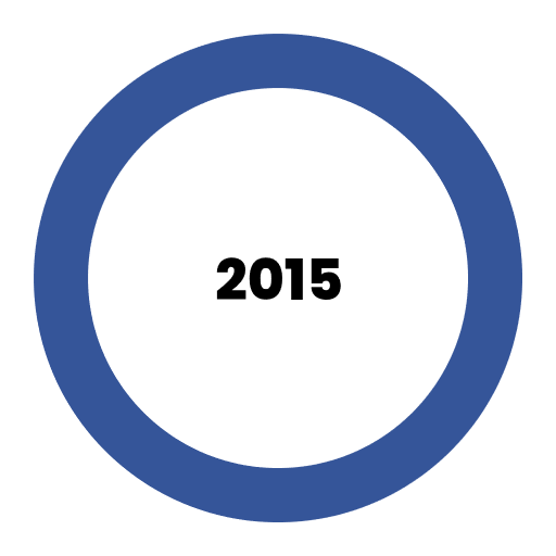 Výsledky roku 2015